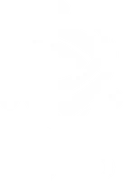 Türkiye Uluslararası Etkinlikler Derneği